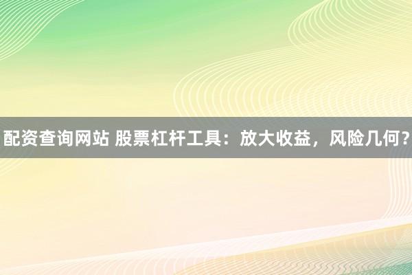 配资查询网站 股票杠杆工具：放大收益，风险几何？