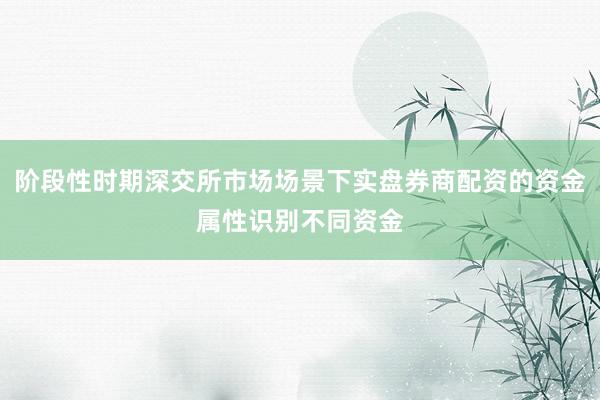 阶段性时期深交所市场场景下实盘券商配资的资金属性识别不同资金